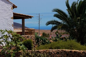 Property grounds - Finca Fuerteventura " CASA PIEDRA" Apartment LUNA (Triquivijate)