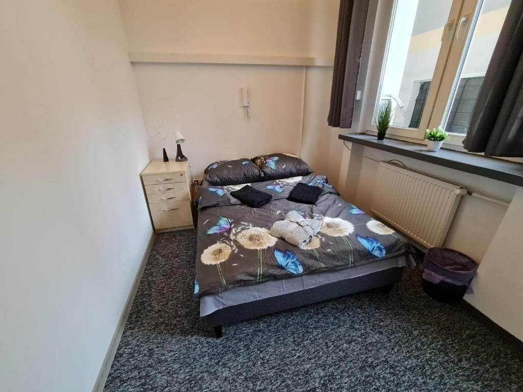 Habitació clàssica, 1 llit doble | Escriptori i espai de treball apte per a portàtils 