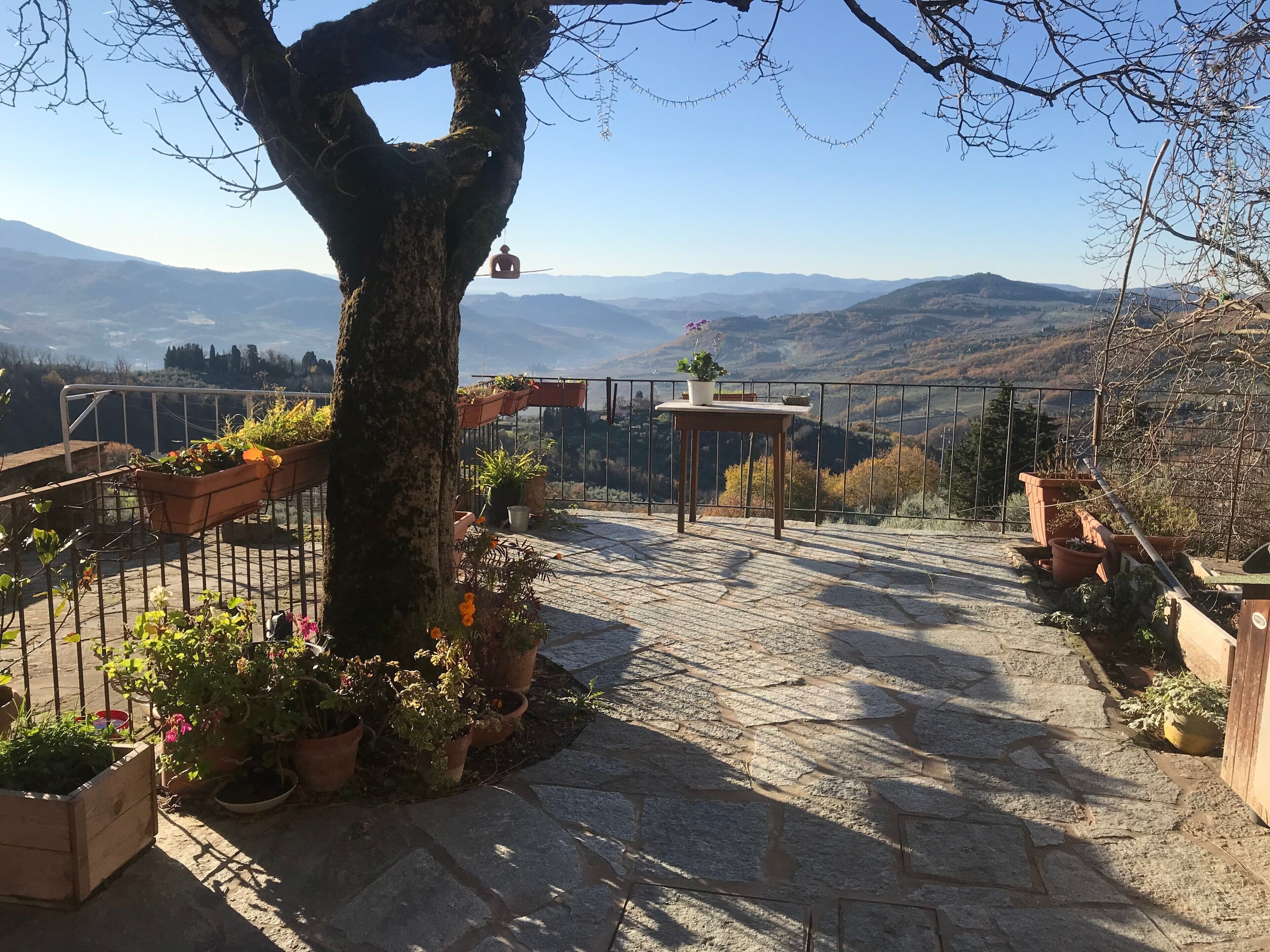Une terrasse dallée de pierres, agrémentée de plantes en pot et d’une table, qui offre une vue sur un paysage montagneux.