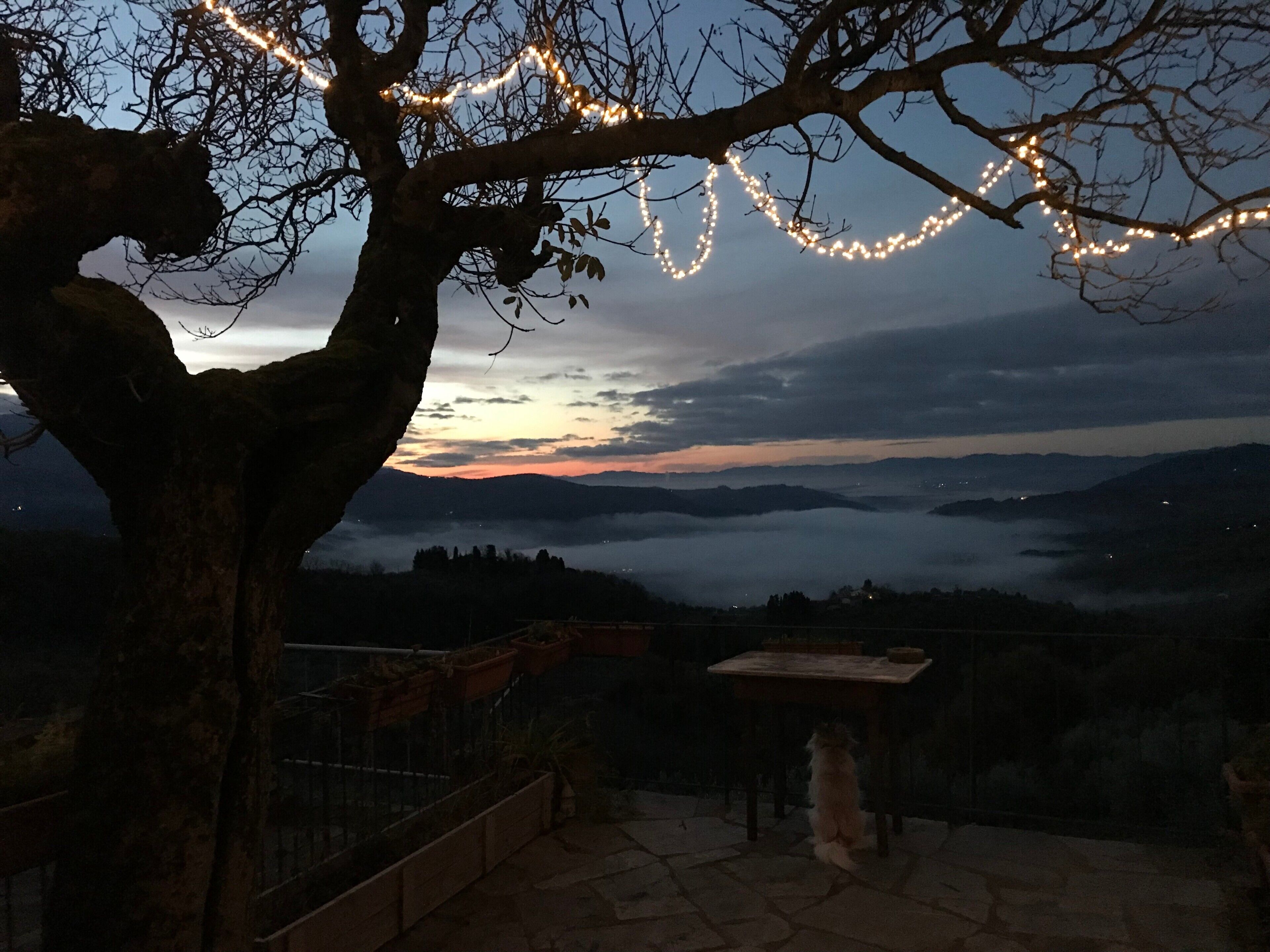 A tree with string lights, a stone table, and a view of distant mountains and clouds.