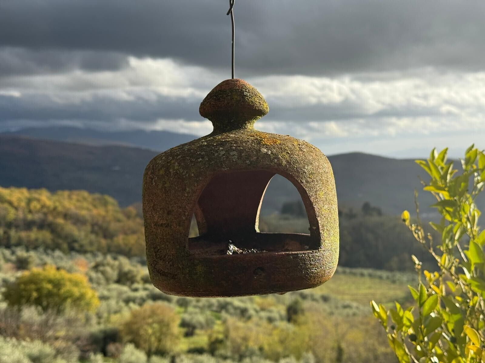 Een rustieke vogelvoeder hangt buiten, met een bergachtig landschap op de achtergrond.