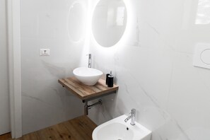 Regadera, secadora de cabello, bidet, toallas
