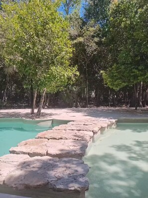 A pool with stepping stones leading into it, surrounded by trees. - Caribe Home (Puerto Morelos)