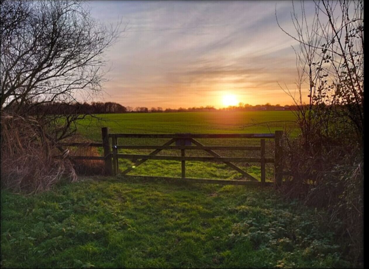 Un paysage rural avec une barrière en bois donnant sur un champ, un coucher de soleil en arrière-plan et un ciel dégagé.