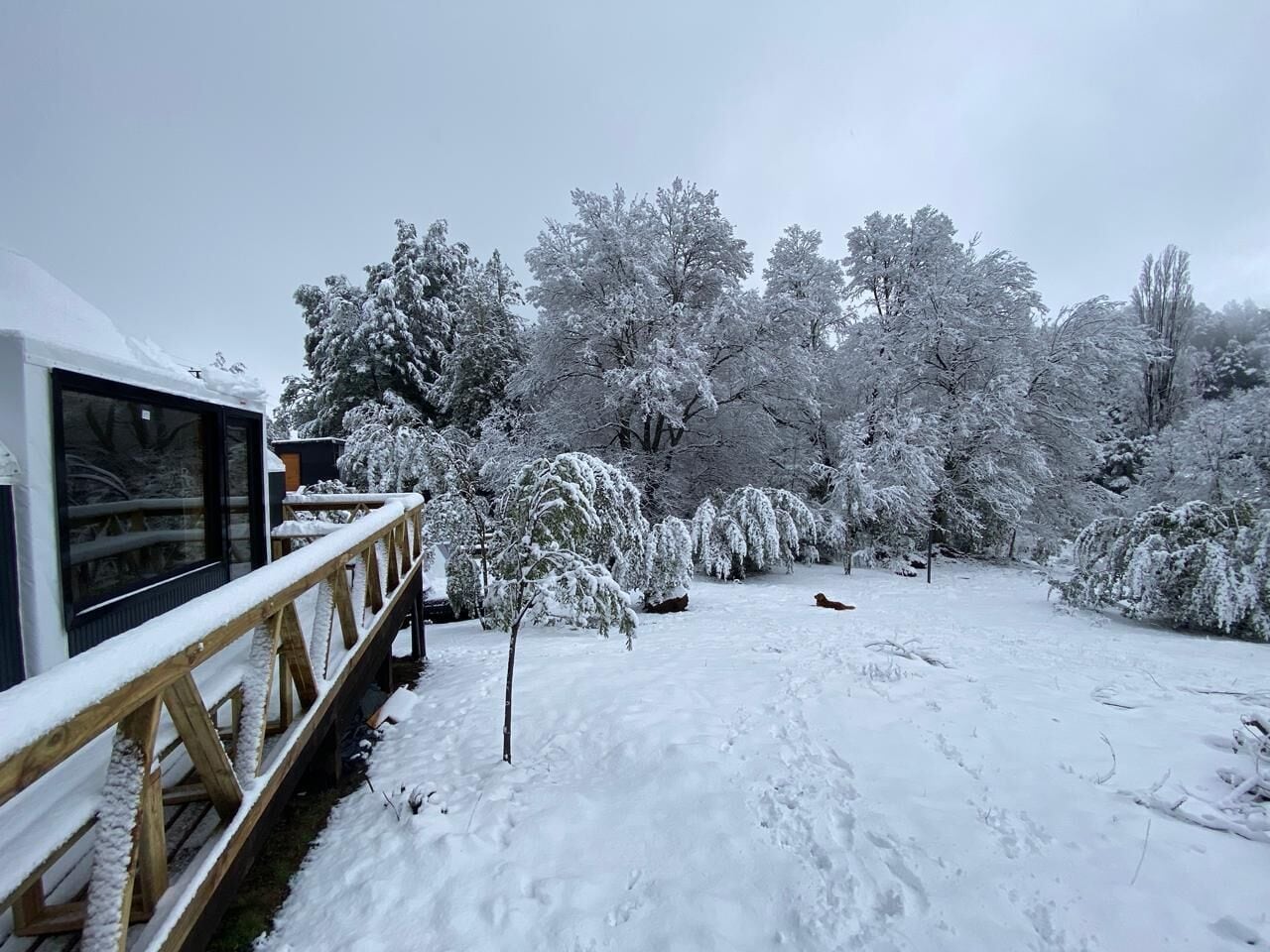 高级小屋, 露台, 花园景观 | 免费 WiFi