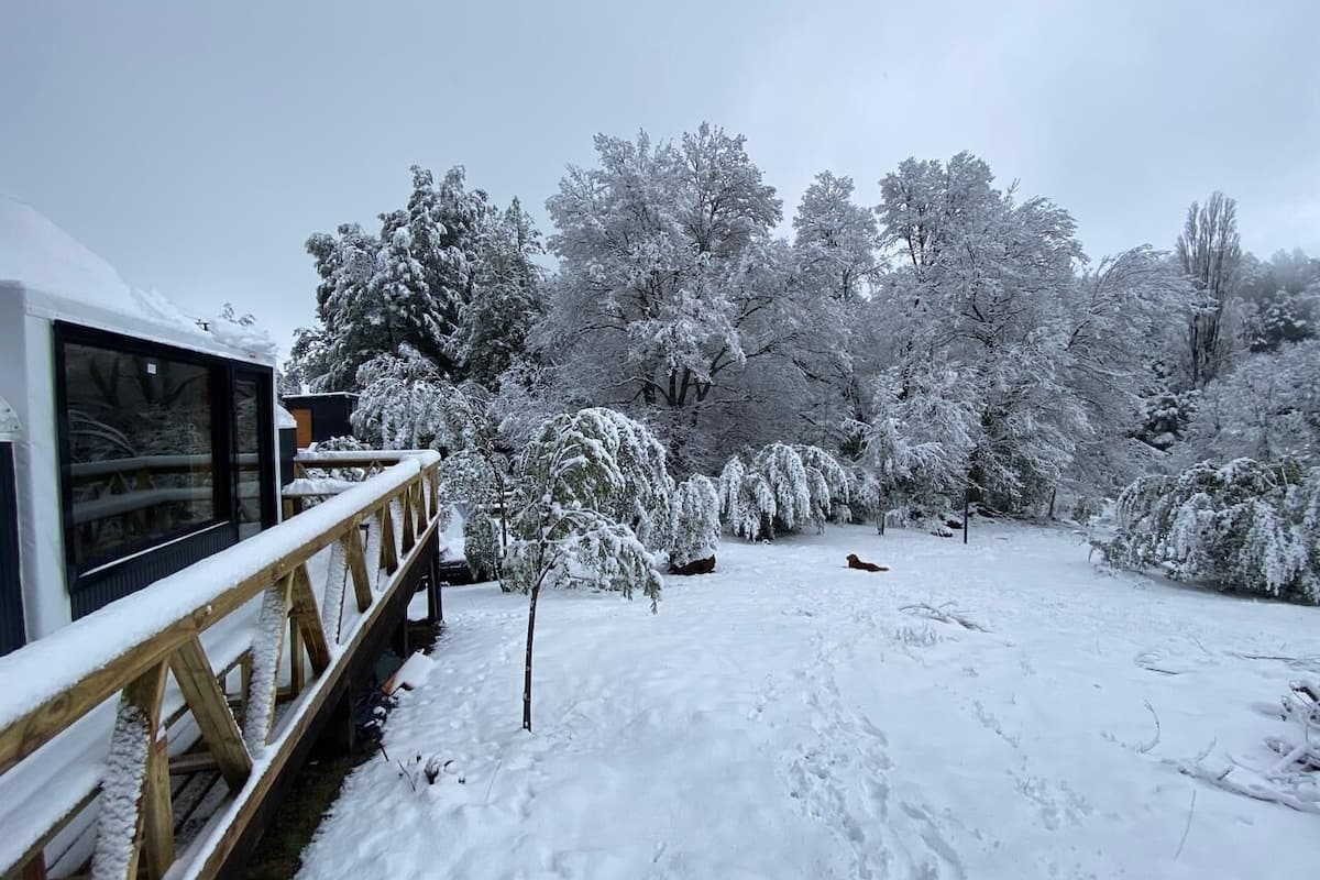 Superior Cabin, Patio, Garden View | Free WiFi