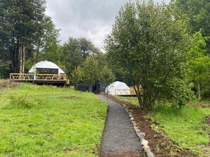 Front of property - HuellaBlanca Domos (Curacautin)