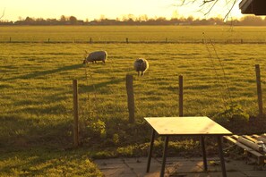 المنطقة المحيطة بالمنشأة