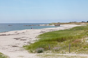 Ein Strand mit sandigem Ufer, grünen Flächen und blauem Himmel.