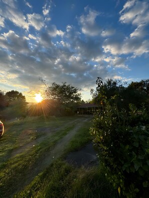 Property grounds - Holiday Home 'Poggio Loccano' with Private Garden and Balcony (Montevarchi)
