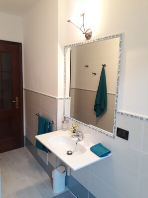 淋浴设施、吹风机、坐浴桶、毛巾