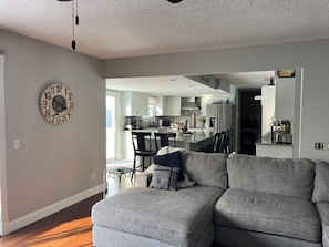 Smart TV, fireplace, books, computer monitors