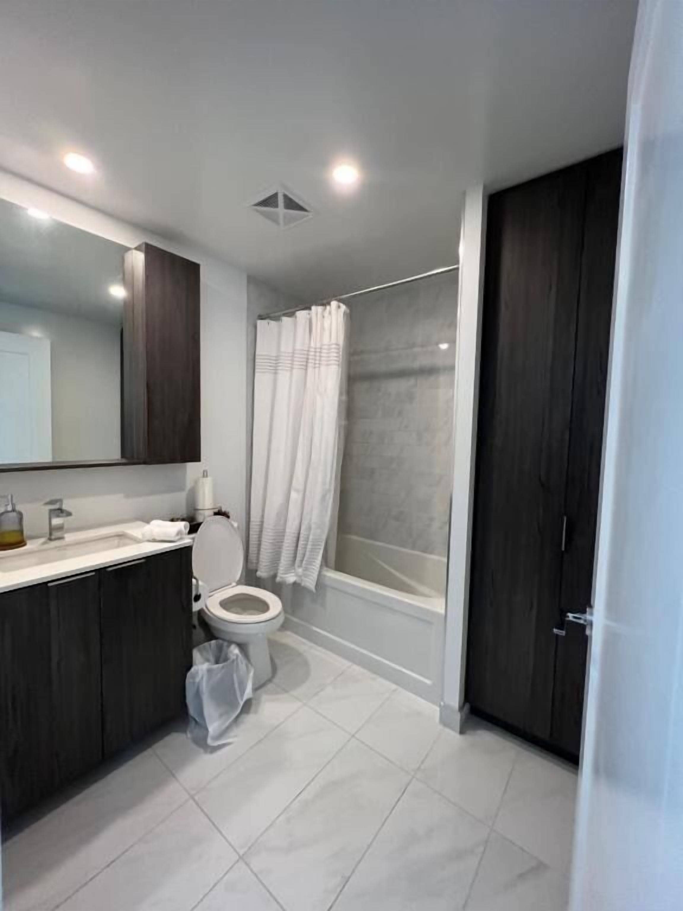 Bathtub, hair dryer, towels, soap