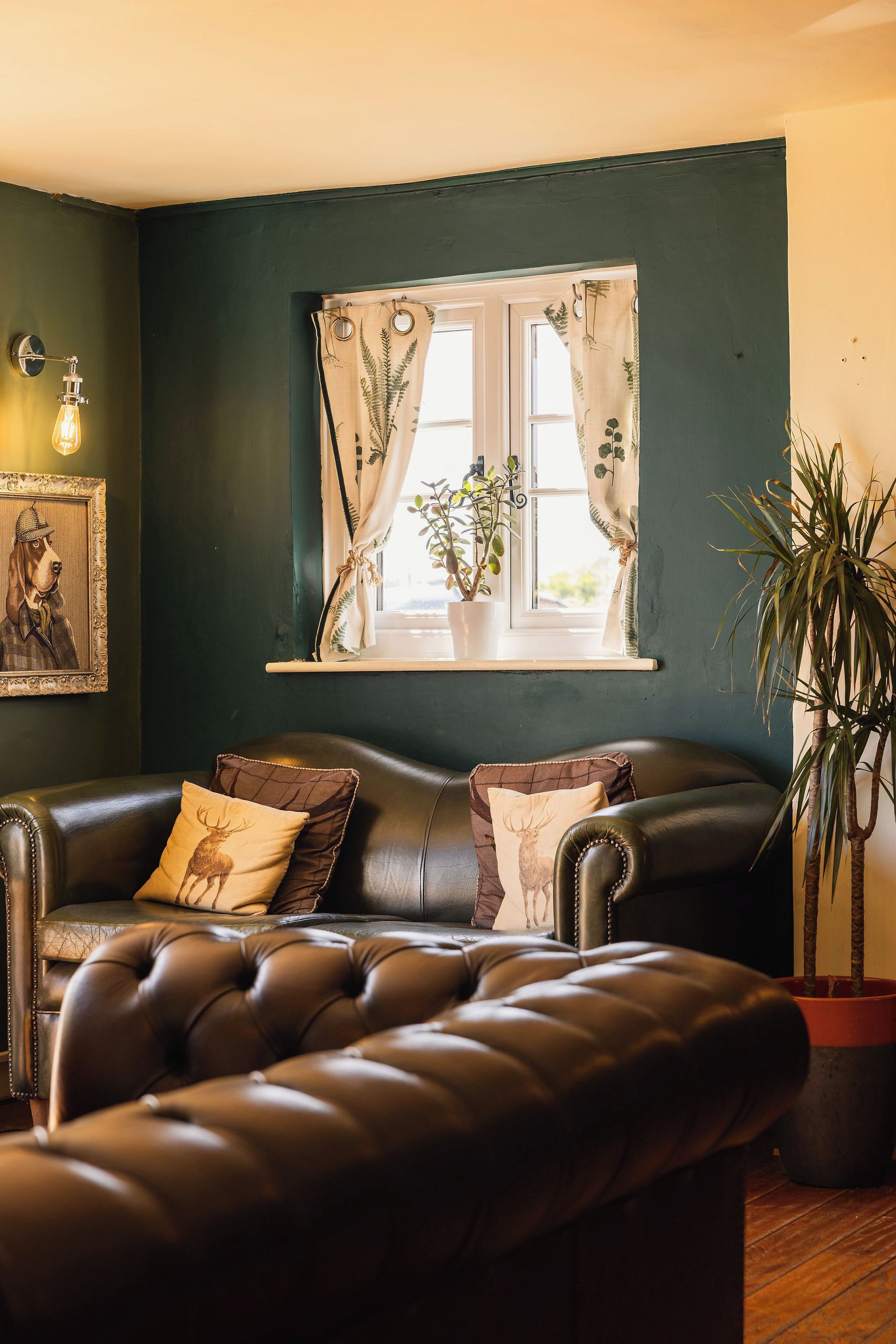 A cozy living room with a dark green wall, a leather sofa with decorative pillows, a window with curtains, and a potted plant.