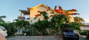Property grounds - Cozy studio in serene Venetian Road Settlement with cool AC (Venetian Road Settlement)