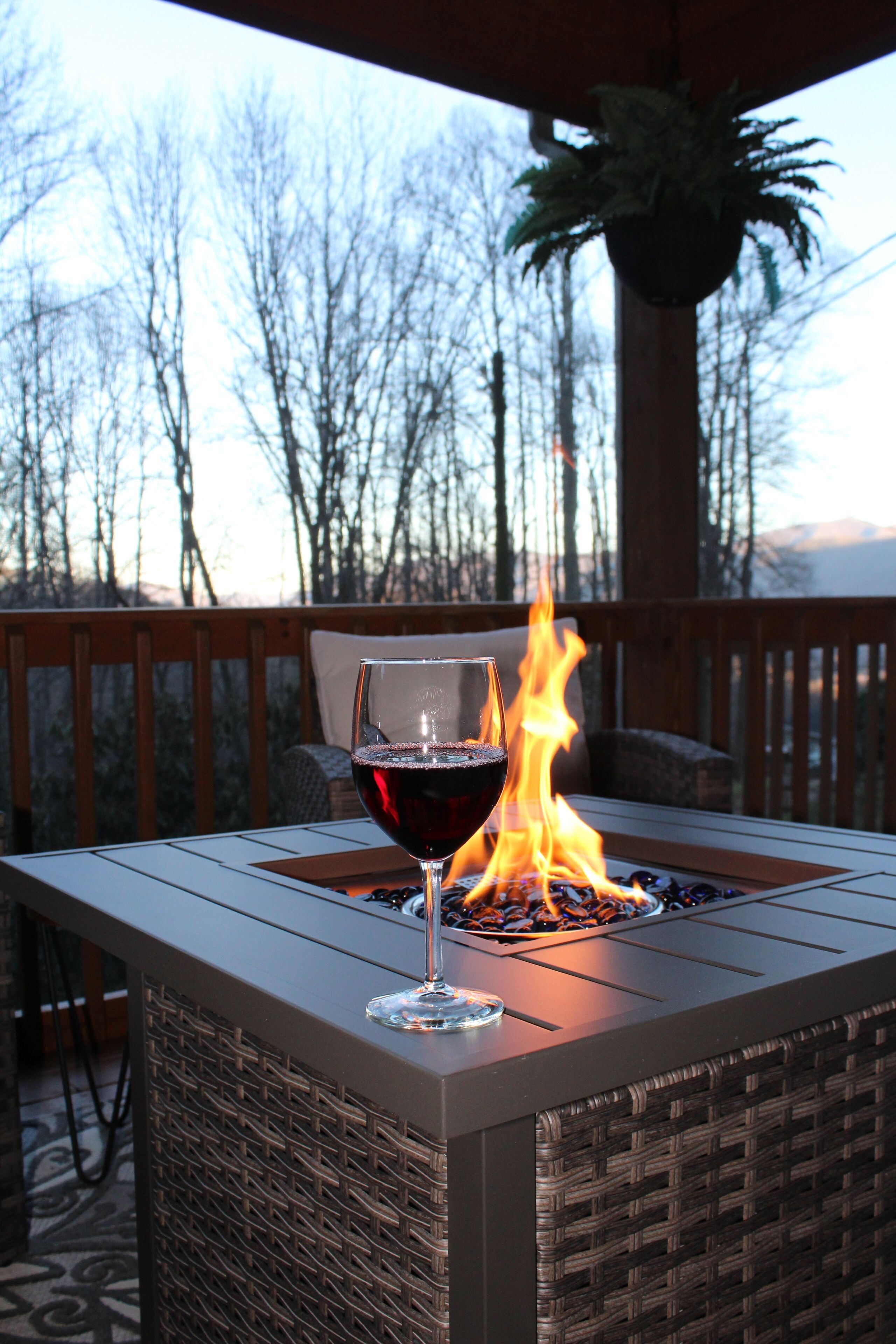 Wine in hand, firelight flickering, evening at ease.