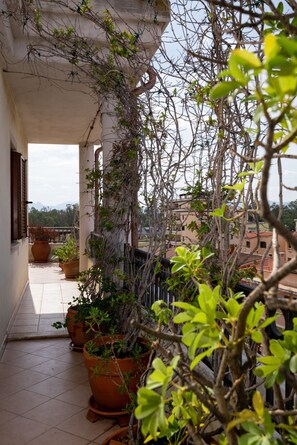 A balcony with potted plants and a view of buildings in the background. - Pedra Mendalza Apartment by Wonderful Italy (Olbia)