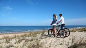 بالقرب من الشاطئ