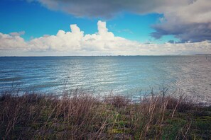 Beach nearby - Waterresort Oosterschelde house no.109 (Wemeldinge)