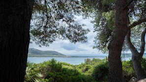 Un paysage côtier caractérisé par une végétation luxuriante et des arbres qui encadrent une vue sur la mer et les collines lointaines.