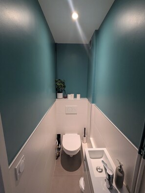 Suihku, hiustenkuivaaja