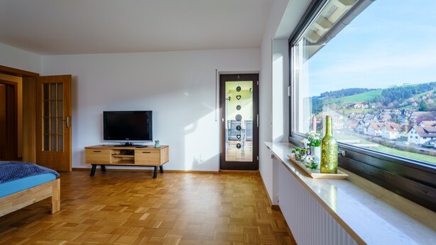 Une chambre avec un plancher en bois, un lit, une télévision, une commode, une fenêtre donnant sur la ville et une porte avec un panneau en verre.