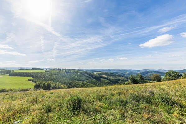 A panoramic view of a hilly landscape with a clear sky.
