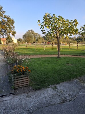 Terrein van de accommodatie