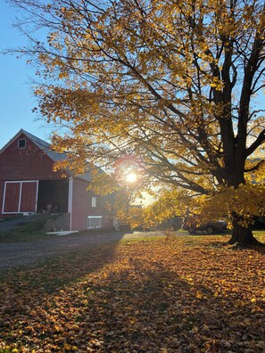 A barn with a red exterior and a white door, surrounded by a grassy area with scattered leaves. - Historic Wayside Farm - a working dairy farm (Randolph)