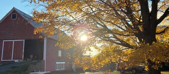 Historic Wayside Farm - a working dairy farm