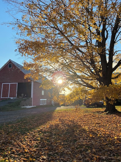 Historic Wayside Farm - a working dairy farm