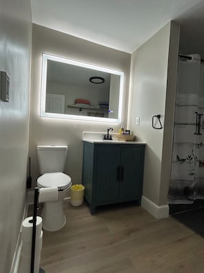 Séchoir à cheveux, serviettes fournies, savon, papier de toilette