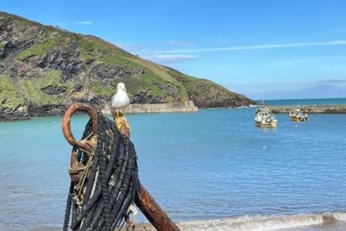Lobster Cove – Charming Seaside Cottage in the Heart of Port Isaac