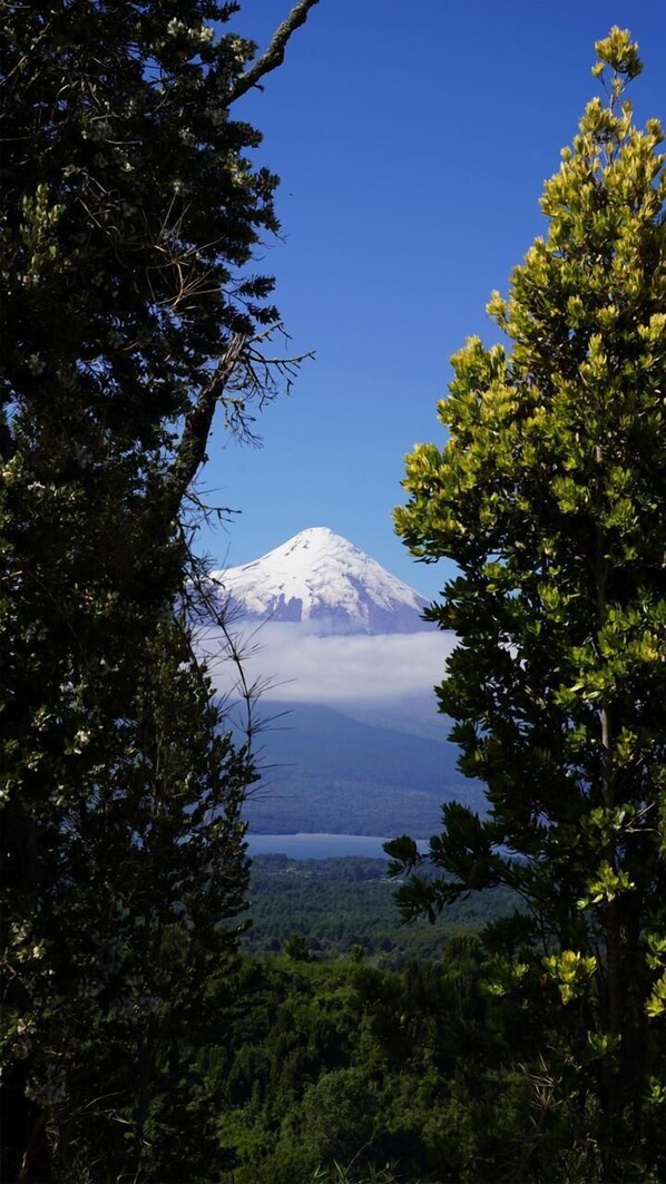 A snow-capped mountain with a clear sky, surrounded by dense forest. - Ampe Lodge (Puerto Varas)