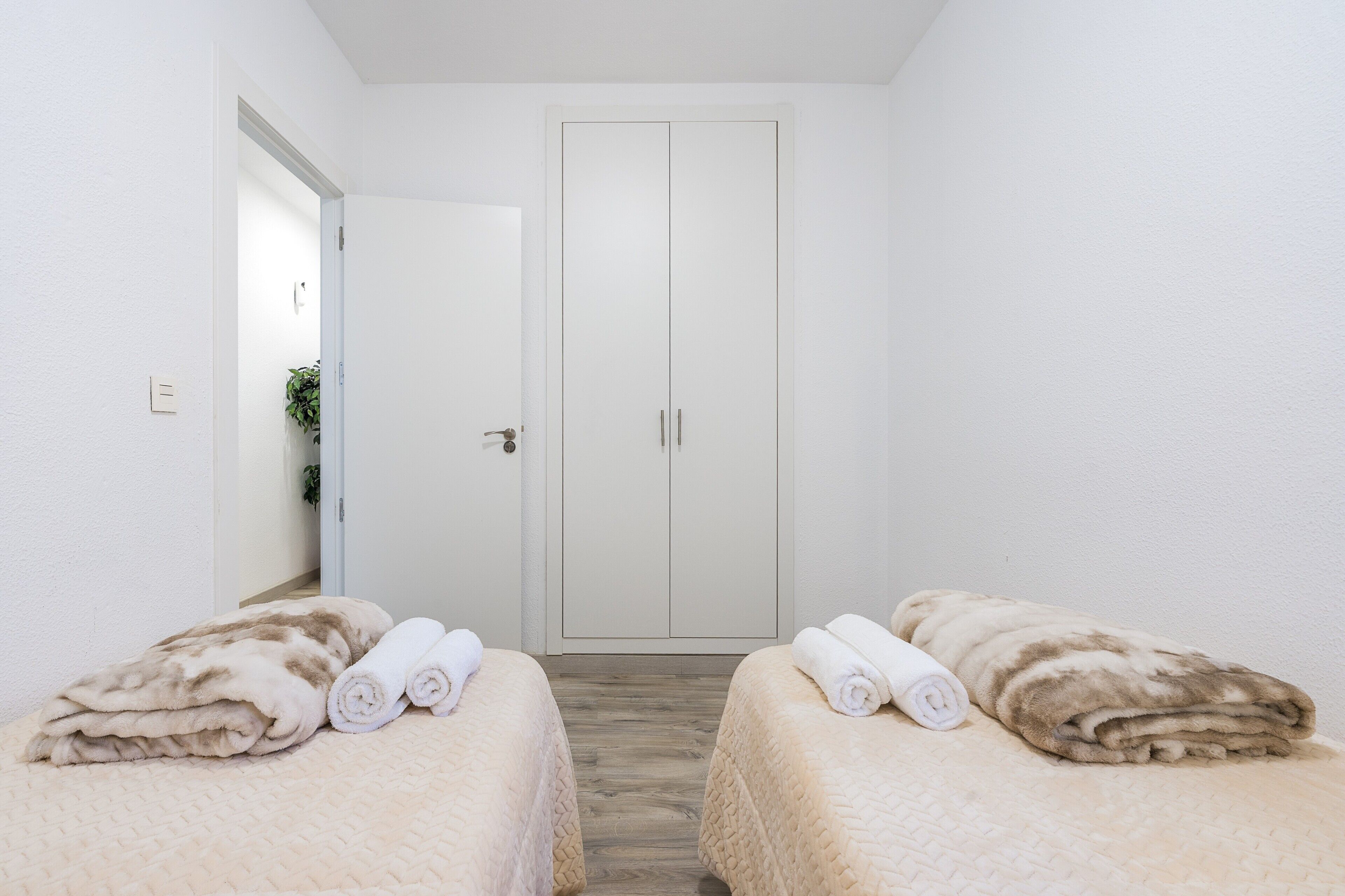 A hotel room with two beds, a door, and a plant in the background.