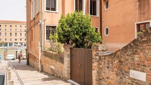 Une ruelle étroite bordée d’un mur de briques, d’une porte en bois et d’un arbre.