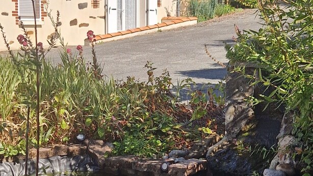 A stone building with a tiled roof, a small pond with lily pads, and surrounding greenery. - Gîte near Puy du Fou (Montournais)