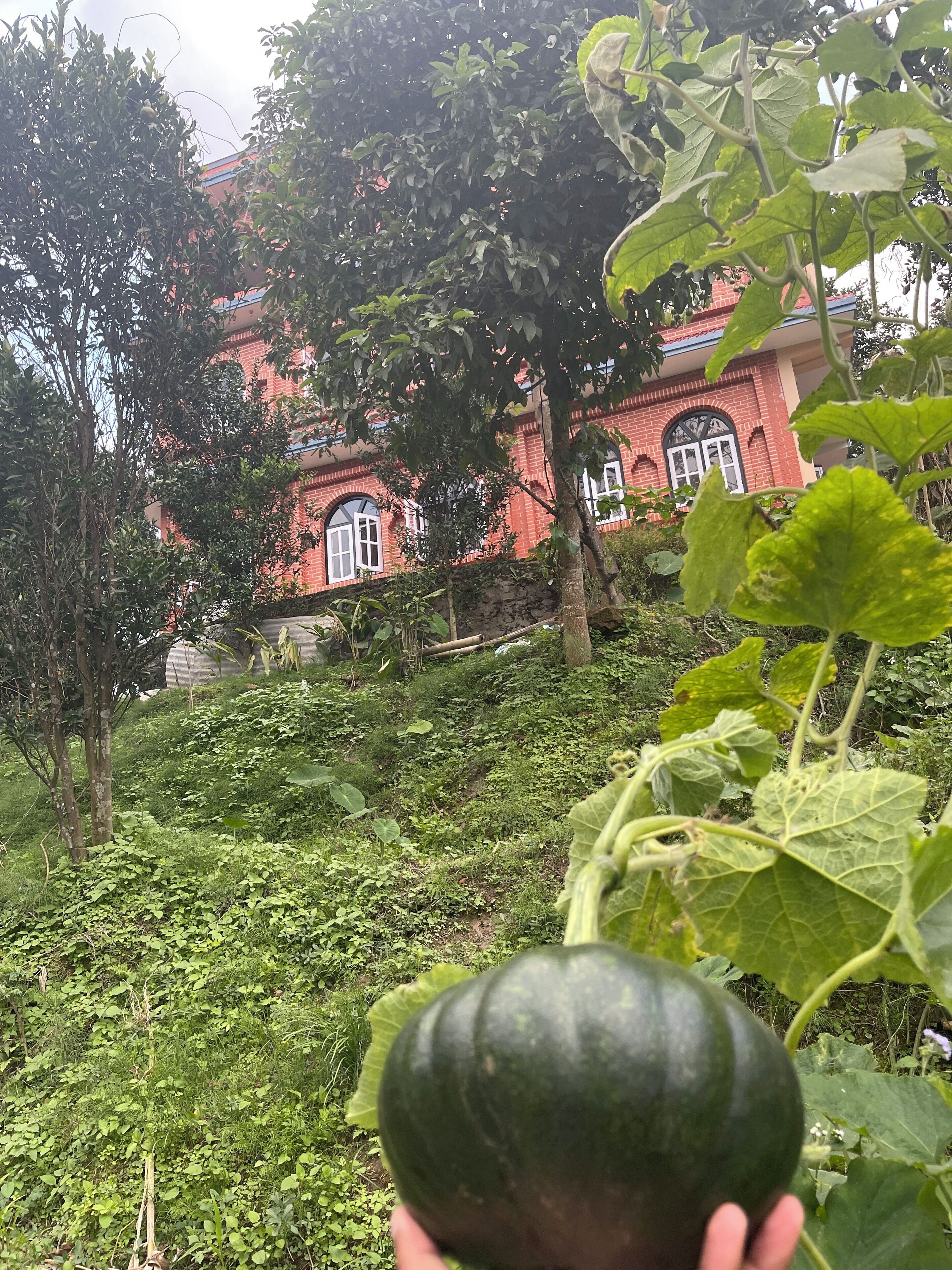 Overnatningsstedets område