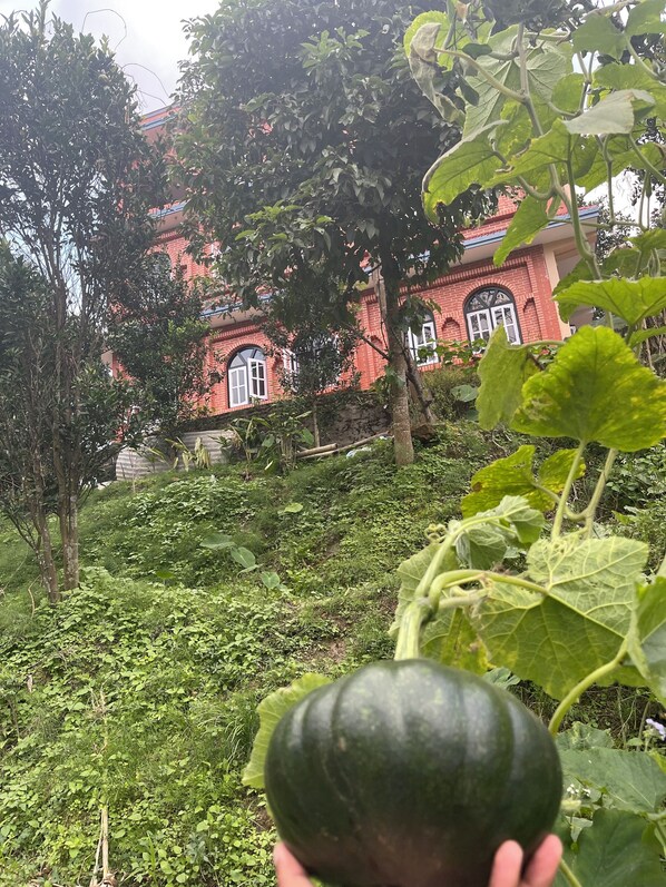 Overnatningsstedets område