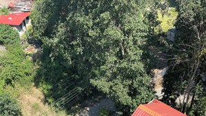 Un bâtiment à deux étages, doté d’un toit rouge, entouré d’une végétation luxuriante et d’arbres.