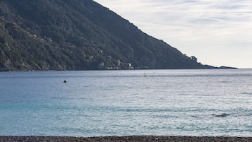 Apartment | 2 Schlafzimmer