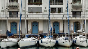 Een rij boten afgemeerd in een jachthaven, met op de achtergrond een gebouw met meerdere blauwe deuren en balkons.