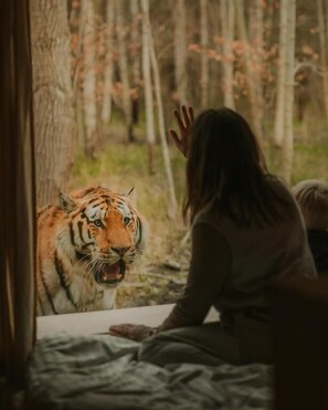 Miscellaneous - Knuthenborg Safaripark (Bandholm)