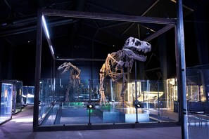 Exterior - Knuthenborg Safaripark (Bandholm)