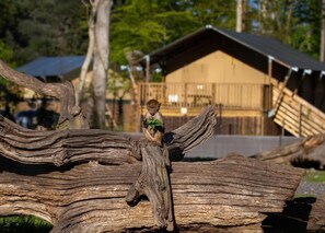 Miscellaneous - Knuthenborg Safaripark (Bandholm)