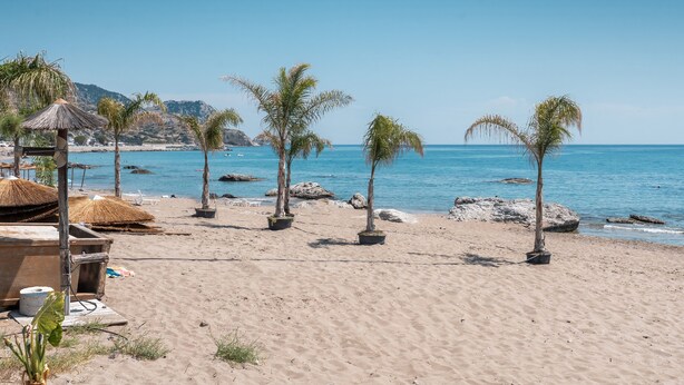 Uma praia com palmeiras, uma estrutura de telhado de palha e céu azul límpido.