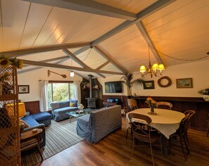 Una Smart TV, una chimenea, un reproductor de DVD, libros