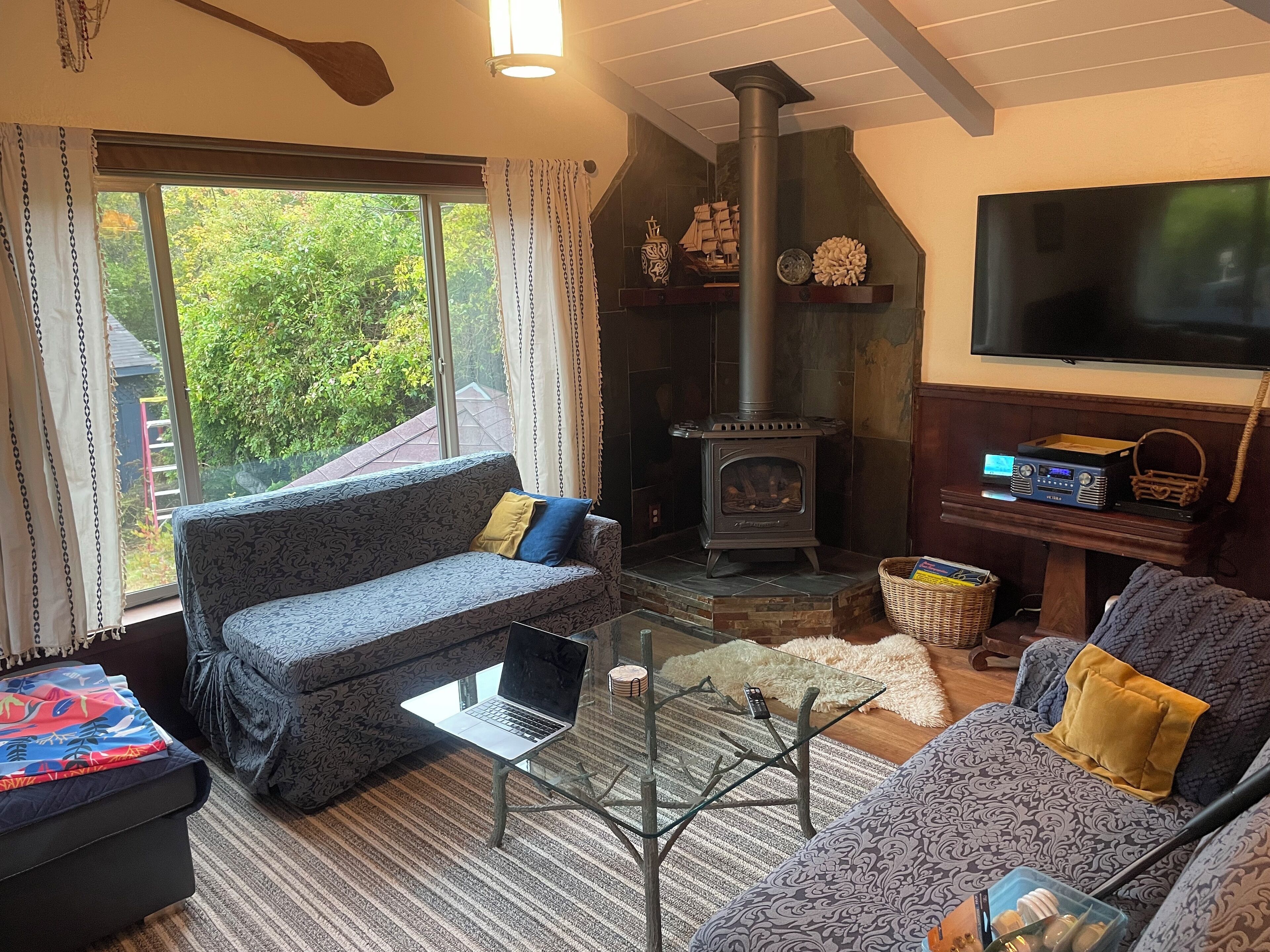 智能电视、壁炉、DVD 播放器、书