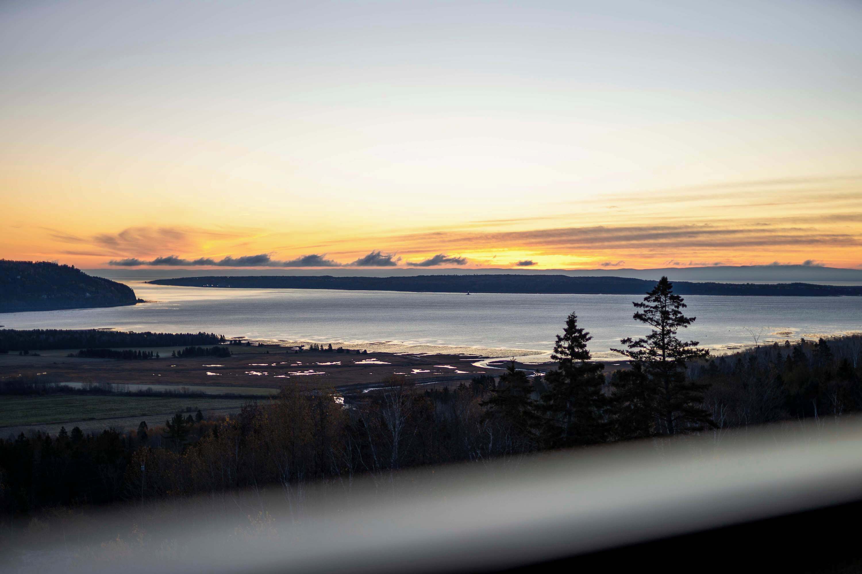 A coastal landscape with a body of water, trees, and a distant shoreline.