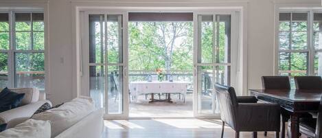 TV, fireplace, stereo